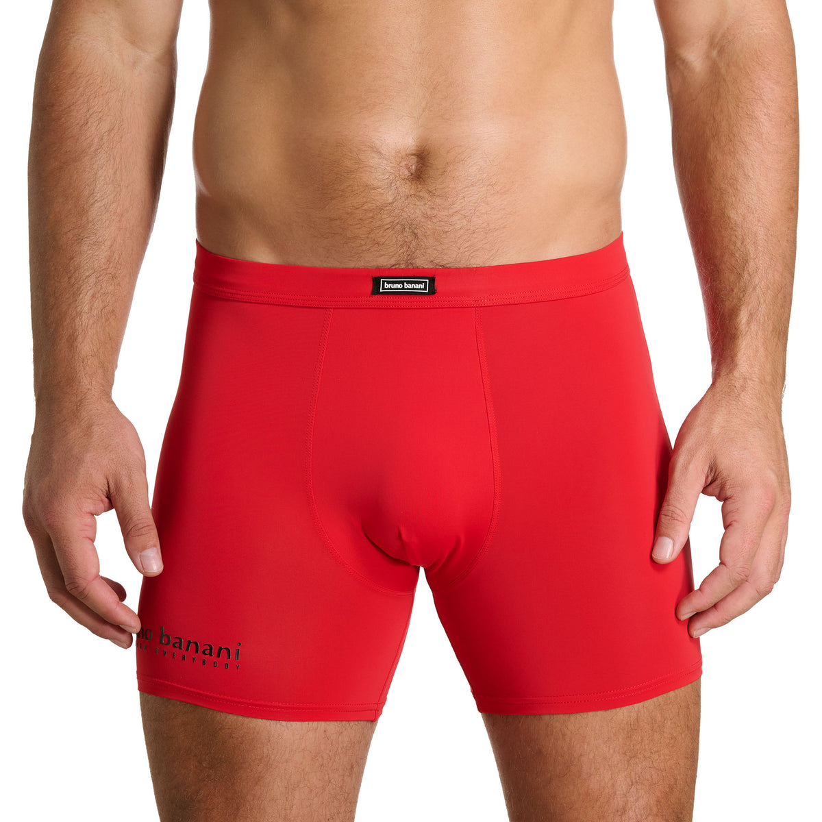 bruno banani - All Day - Long Shorts - 2 Pack