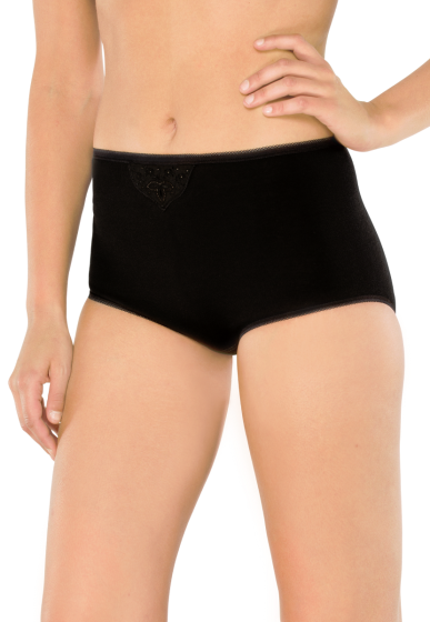 Schiesser - Cotton Essentials - Maxi Briefs 2 Pack