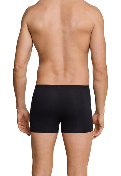 Schiesser - Cotton Essentials - Shorts 2 Pack