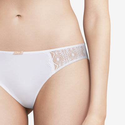 Passionata - Georgia - Brief